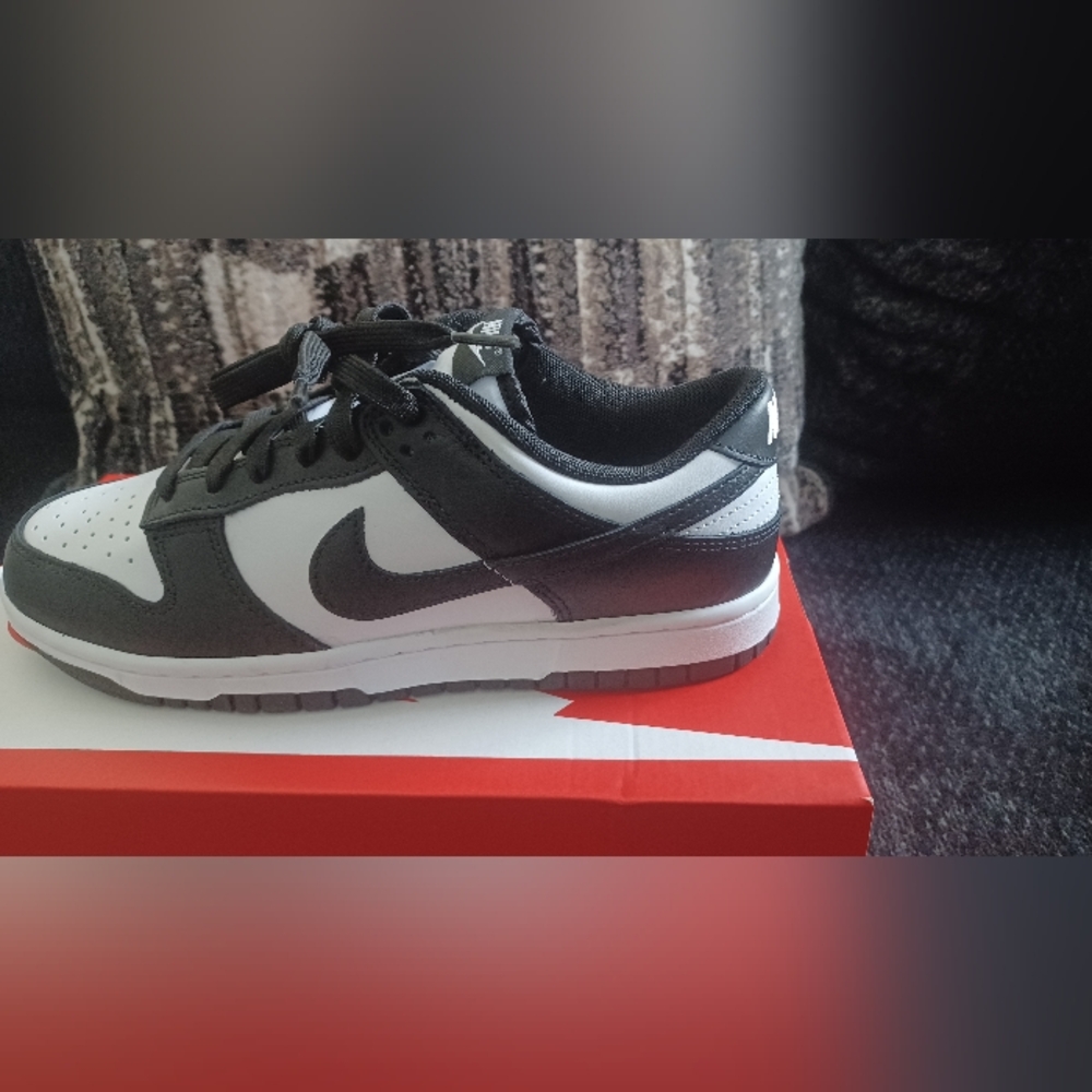 Men's Nike dunks